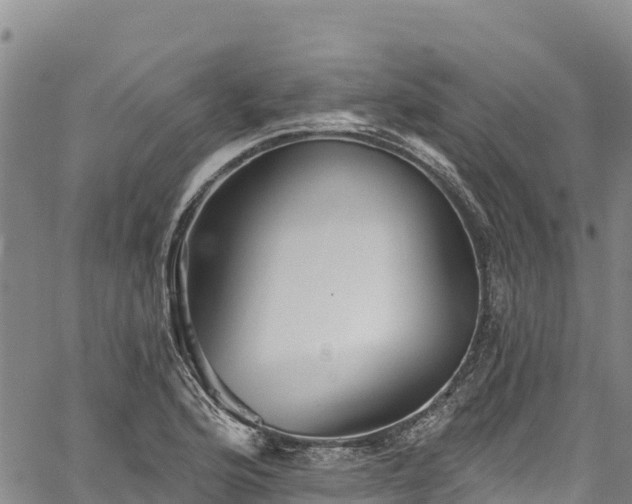 X0000067511176200604101248