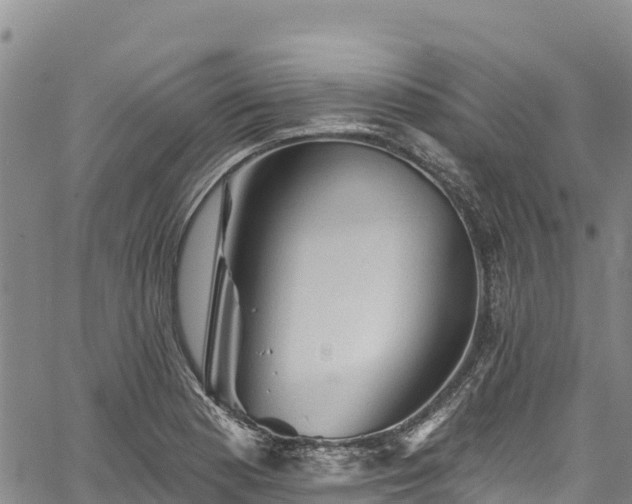 X0000067511177200604101248