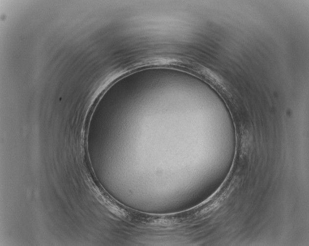 X0000067511178200604101248