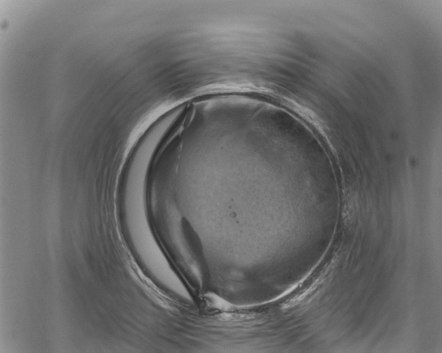 X0000067511179200604101248