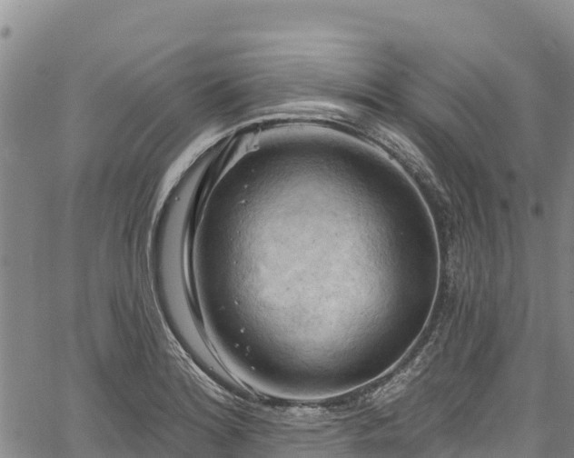 X0000067511180200604101248