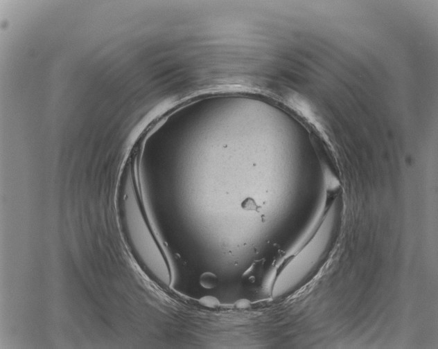 X0000067511181200604101248