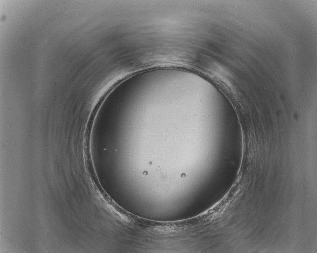 X0000067511182200604101248