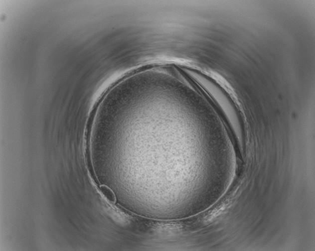 X0000067511183200604101248