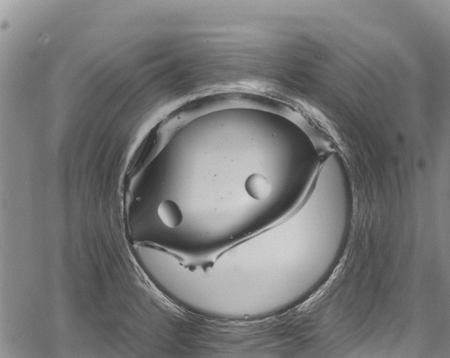 X0000067511184200604101248