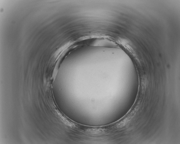 X0000067511185200604101248