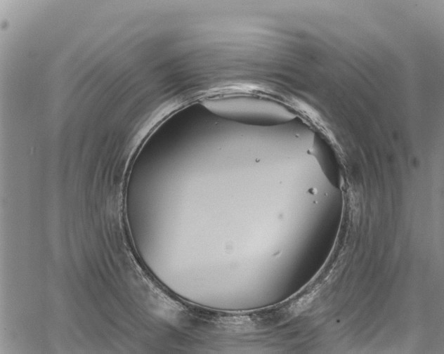 X0000067511186200604101248