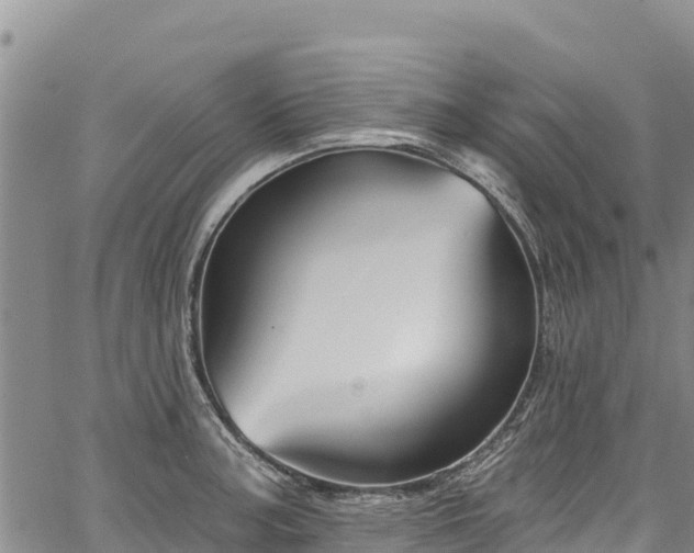 X0000067511187200604101248