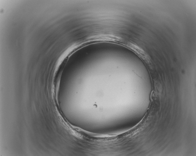 X0000067511188200604101248