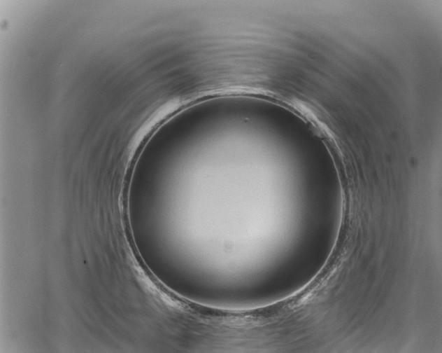 X0000067511189200604101248