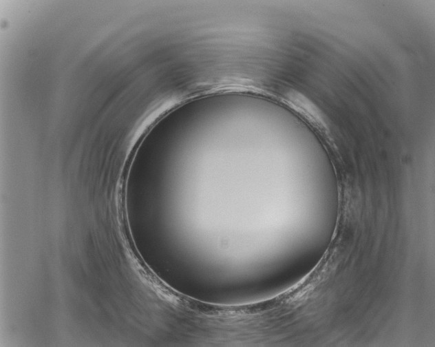 X0000067511190200604101248