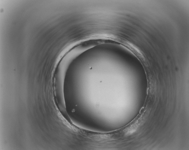 X0000067511192200604101248