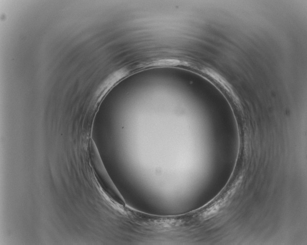 X0000067511193200604101248