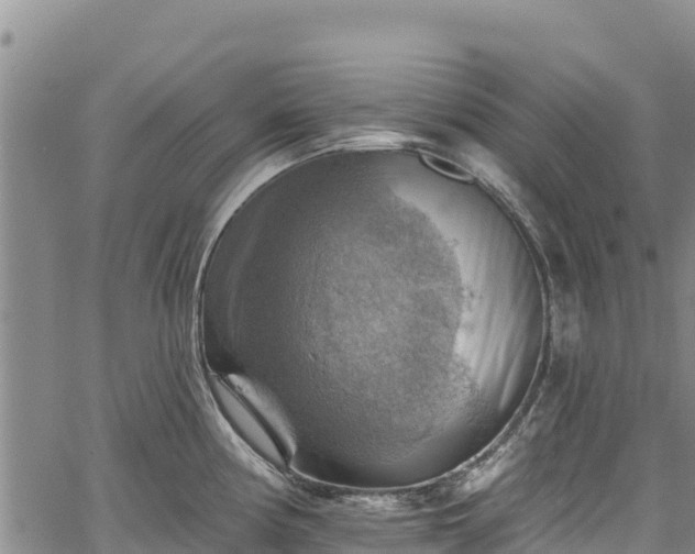 X0000067511194200604101248