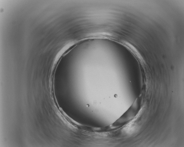 X0000067511196200604101248