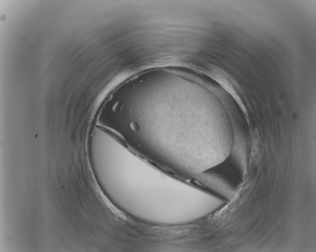 X0000067511197200604101248