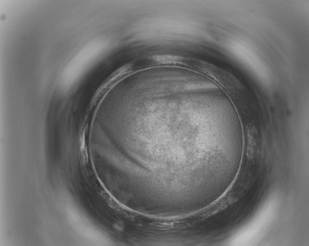 X0000067511198200604101248