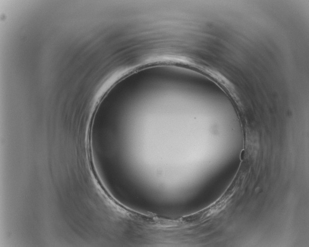 X0000067511199200604101248