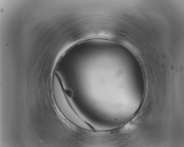 X0000067511200200604101248