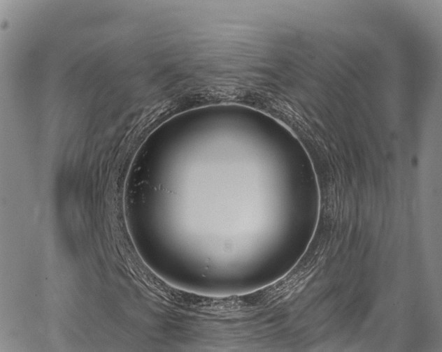 X0000067511201200604101247