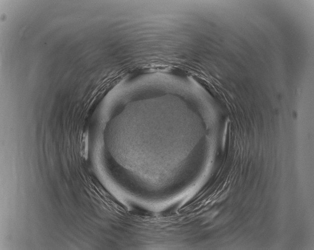 X0000067511202200604101247