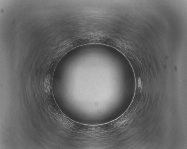 X0000067511203200604101247