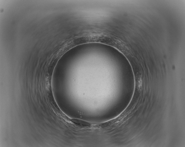 X0000067511204200604101247