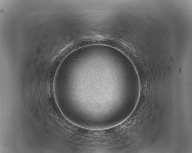 X0000067511205200604101247