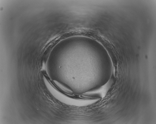 X0000067511206200604101247