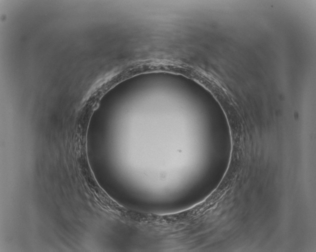 X0000067511207200604101247