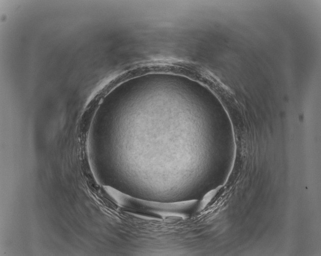 X0000067511208200604101247