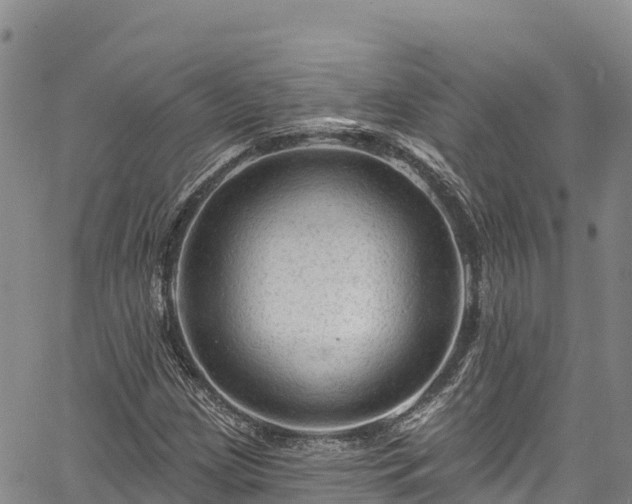 X0000067511209200604101247