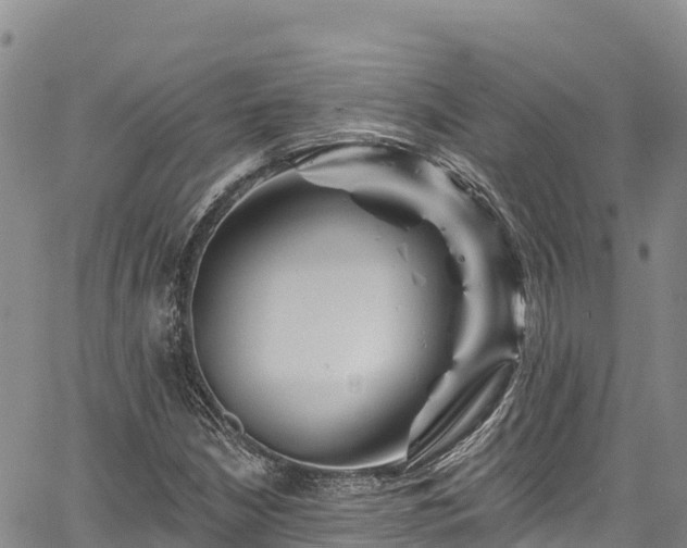 X0000067511210200604101247