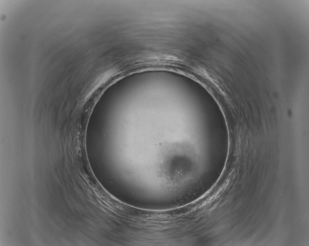 X0000067511211200604101247