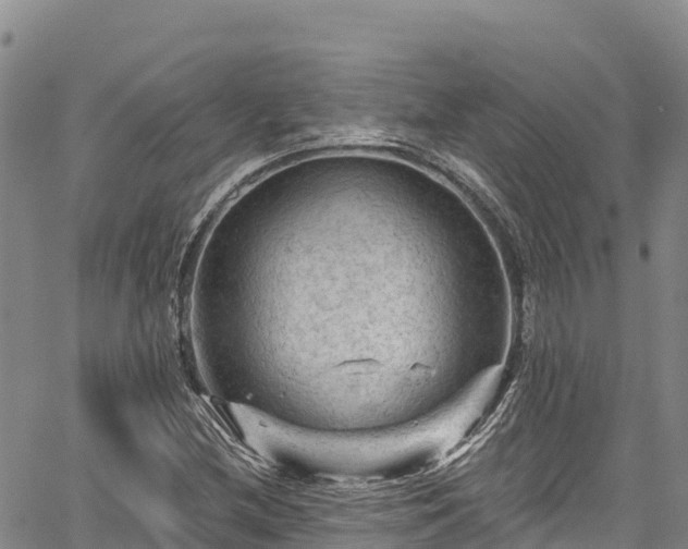 X0000067511212200604101247