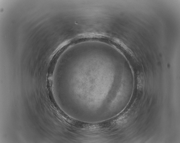 X0000067511213200604101247