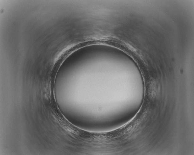 X0000067511214200604101247