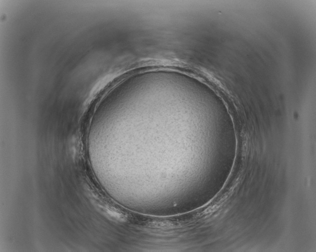 X0000067511215200604101247