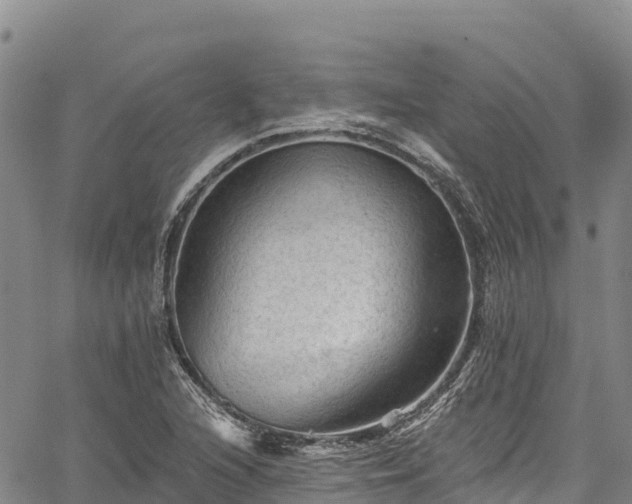 X0000067511216200604101247