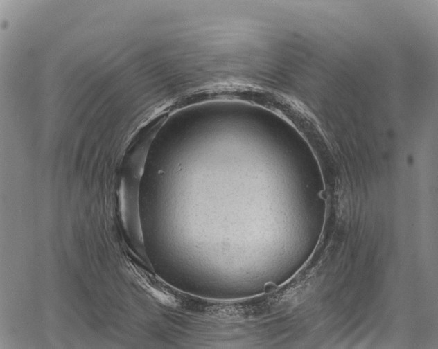 X0000067511217200604101247