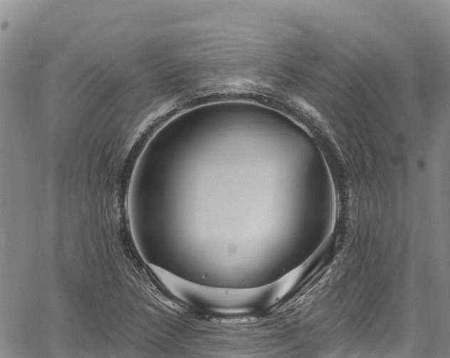 X0000067511218200604101247