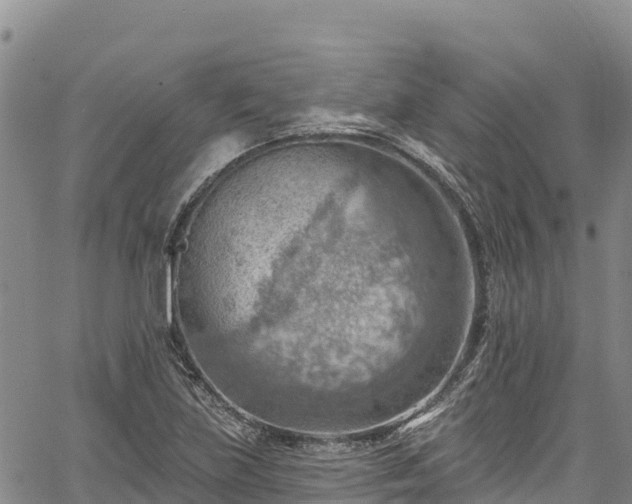 X0000067511219200604101247