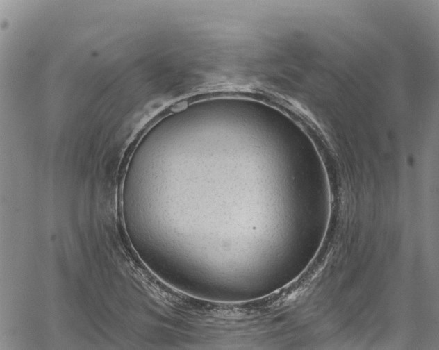 X0000067511220200604101247