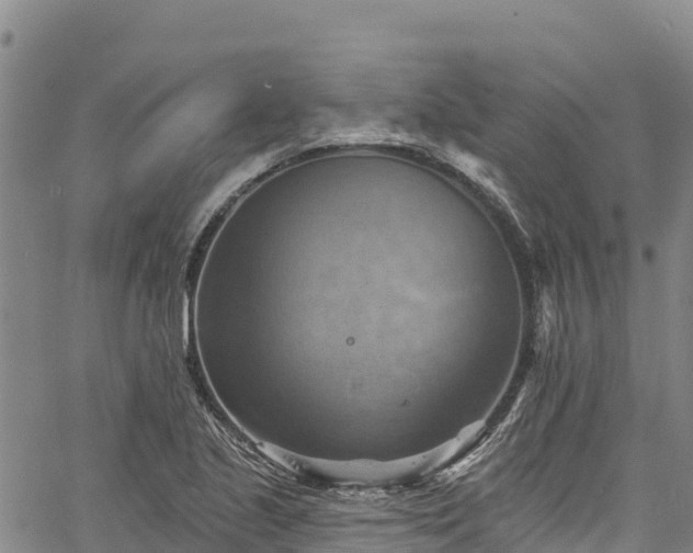 X0000067511221200604101247