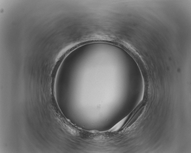 X0000067511222200604101247