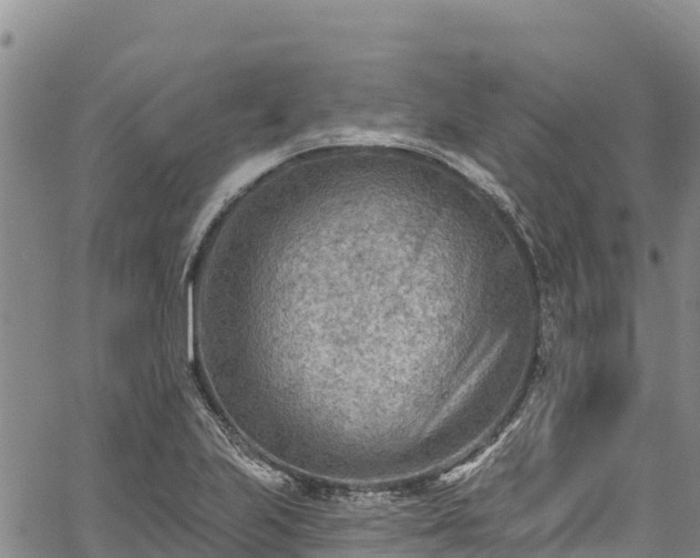 X0000067511223200604101247