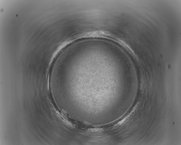 X0000067511224200604101247