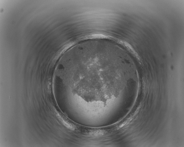 X0000067511225200604101247