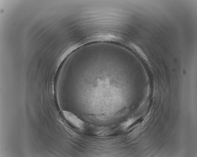 X0000067511226200604101247