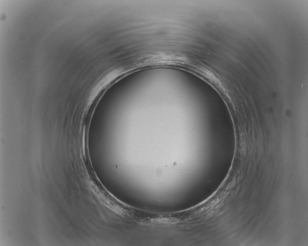 X0000067511227200604101247